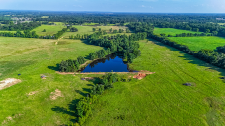 200 Acres Pasture Land - Pittsburg, TX Camp County - Fish Hunt - image 6