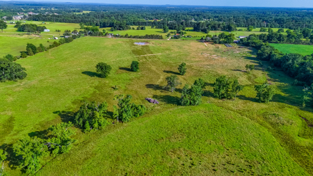 200 Acres Pasture Land - Pittsburg, TX Camp County - Fish Hunt - image 5