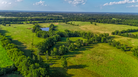 200 Acres Pasture Land - Pittsburg, TX Camp County - Fish Hunt - image 12