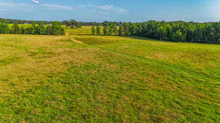 200 Acres Pasture Land - Pittsburg, TX Camp County - Fish Hunt - image 13