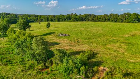 200 Acres Pasture Land - Pittsburg, TX Camp County - Fish Hunt - image 14