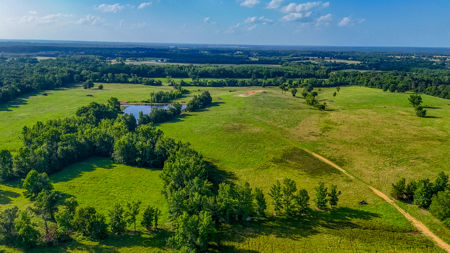 200 Acres Pasture Land - Pittsburg, TX Camp County - Fish Hunt - image 1