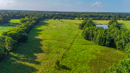 200 Acres Pasture Land - Pittsburg, TX Camp County - Fish Hunt - image 10
