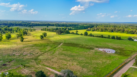 200 Acres Pasture Land - Pittsburg, TX Camp County - Fish Hunt - image 2