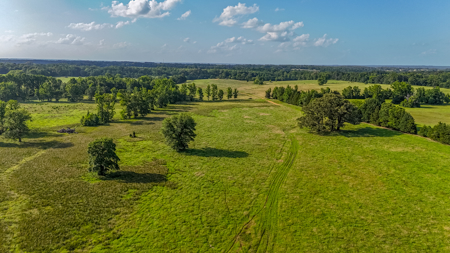 200 Acres Pasture Land - Pittsburg, TX Camp County - Fish Hunt - image 4