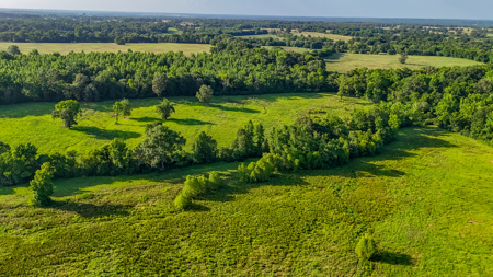 200 Acres Pasture Land - Pittsburg, TX Camp County - Fish Hunt - image 15