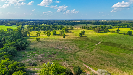200 Acres Pasture Land - Pittsburg, TX Camp County - Fish Hunt - image 3