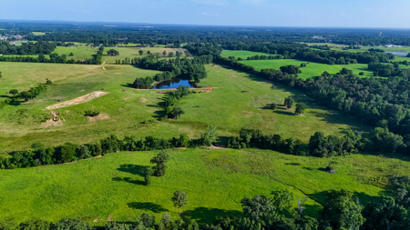 200 Acres Pasture Land - Pittsburg, TX Camp County - Fish Hunt - image 7