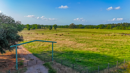200 Acres Pasture Land - Pittsburg, TX Camp County - Fish Hunt - image 16