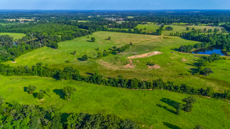 200 Acres Pasture Land - Pittsburg, TX Camp County - Fish Hunt - image 8