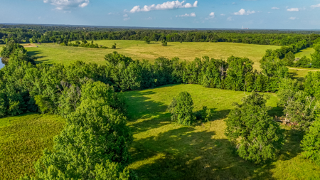 200 Acres Pasture Land - Pittsburg, TX Camp County - Fish Hunt - image 11