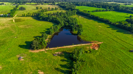 200 Acres Pasture Land - Pittsburg, TX Camp County - Fish Hunt - image 9