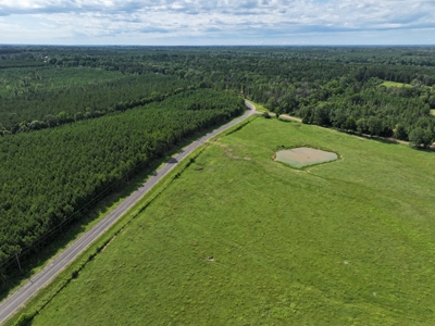 Cattle Farm For Sale with Pond Lincoln County Wesson Mississippi - image 9
