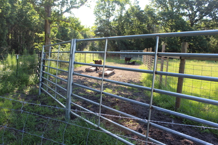 Cattle Farm For Sale with Pond Lincoln County Wesson Mississippi - image 17