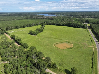 Cattle Farm For Sale with Pond Lincoln County Wesson Mississippi - image 7