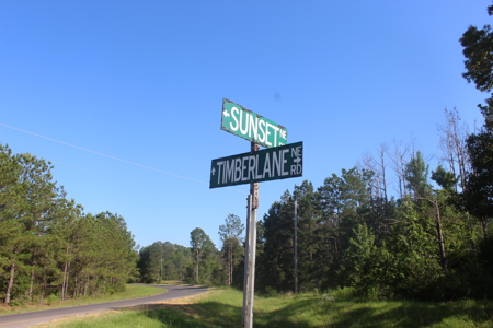 Cattle Farm For Sale with Pond Lincoln County Wesson Mississippi - image 14