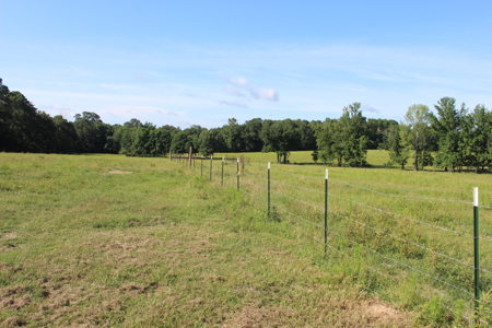 Cattle Farm For Sale with Pond Lincoln County Wesson Mississippi - image 18