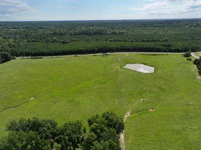 Cattle Farm For Sale with Pond Lincoln County Wesson Mississippi - image 3