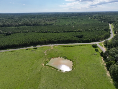 Cattle Farm For Sale with Pond Lincoln County Wesson Mississippi - image 4