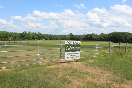 Cattle Farm For Sale with Pond Lincoln County Wesson Mississippi - image 2
