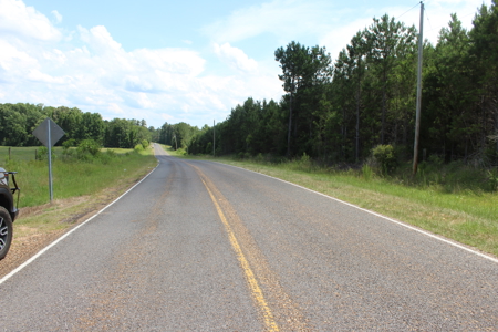 Cattle Farm For Sale with Pond Lincoln County Wesson Mississippi - image 12