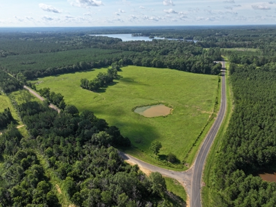 Cattle Farm For Sale with Pond Lincoln County Wesson Mississippi - image 1