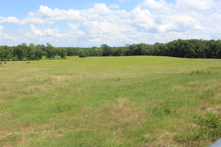 Cattle Farm For Sale with Pond Lincoln County Wesson Mississippi - image 22