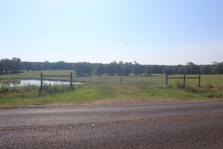 Cattle Farm For Sale with Pond Lincoln County Wesson Mississippi - image 13
