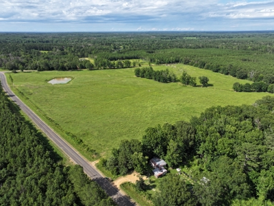 Cattle Farm For Sale with Pond Lincoln County Wesson Mississippi - image 11