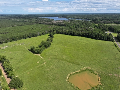 Cattle Farm For Sale with Pond Lincoln County Wesson Mississippi - image 8