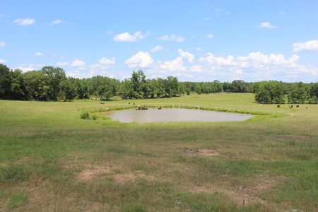 Cattle Farm For Sale with Pond Lincoln County Wesson Mississippi - image 23