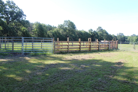 Cattle Farm For Sale with Pond Lincoln County Wesson Mississippi - image 16