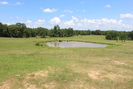 Cattle Farm For Sale with Pond Lincoln County Wesson Mississippi - image 19