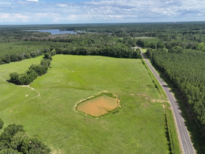 Cattle Farm For Sale with Pond Lincoln County Wesson Mississippi - image 6