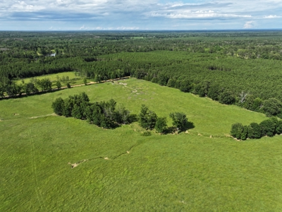 Cattle Farm For Sale with Pond Lincoln County Wesson Mississippi - image 10