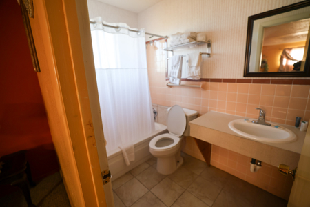 Investment Opportunity Lone Star Motel with 20 keys - image 15