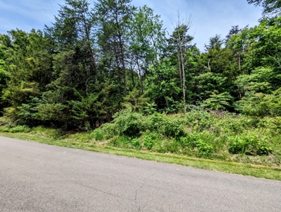 Lot for Sale on Smith Mountain Lake in Moneta VA - image 9