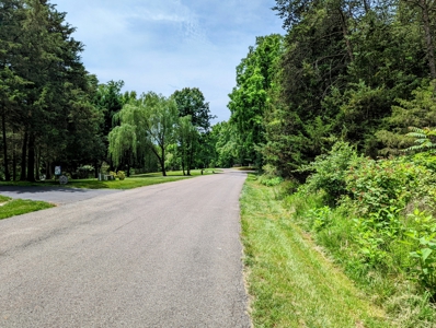 Lot for Sale on Smith Mountain Lake in Moneta VA - image 10