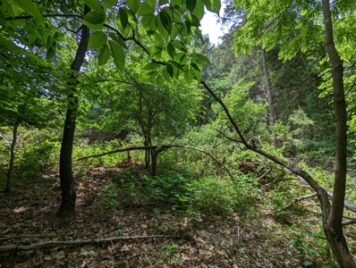 Lot for Sale on Smith Mountain Lake in Moneta VA - image 3