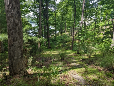 Lot for Sale on Smith Mountain Lake in Moneta VA - image 7