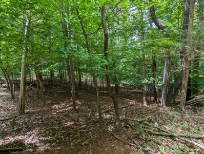 Lot for Sale on Smith Mountain Lake in Moneta VA - image 4