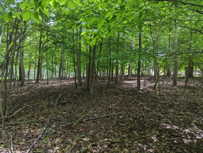Lot for Sale on Smith Mountain Lake in Moneta VA - image 8
