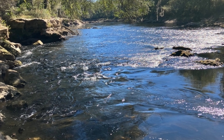 Land for Sale on the Withlacoochee River in Jasper, Florida - image 11