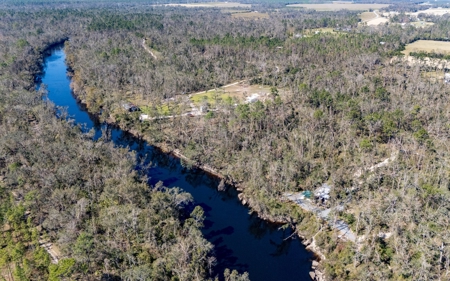 Land for Sale on the Withlacoochee River in Jasper, Florida - image 5