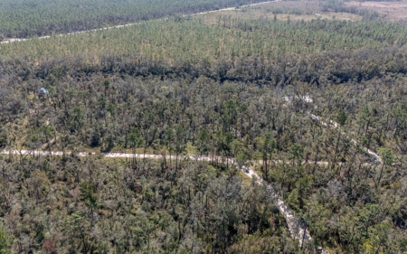 Land for Sale on the Withlacoochee River in Jasper, Florida - image 3