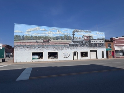 Cameron Mo Downtown Building For Sale - image 2