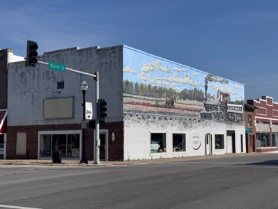 Cameron Mo Downtown Building For Sale - image 1