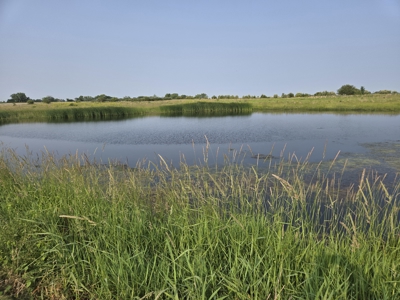 CRP Land with Recreational Opportunities - image 4