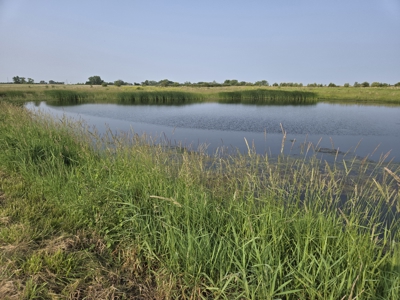 CRP Land with Recreational Opportunities - image 3