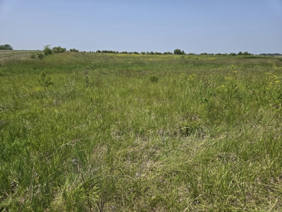 CRP Land with Recreational Opportunities - image 6